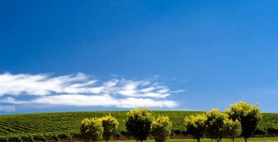 Oración para cada día de la semana